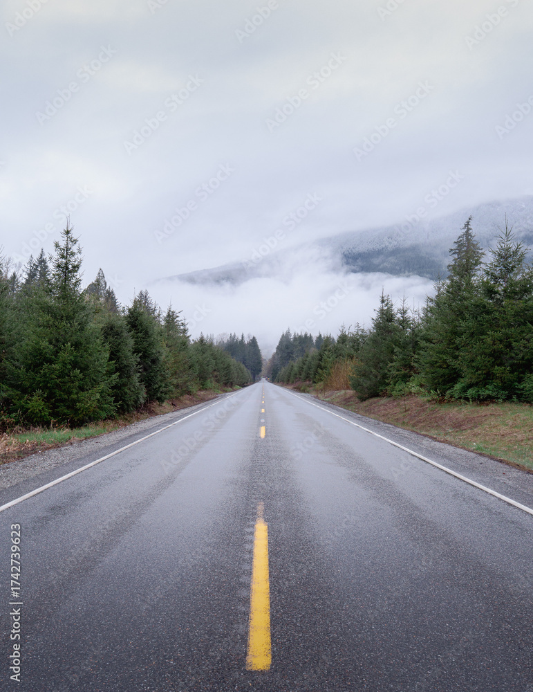 Fototapeta premium road in the mountains