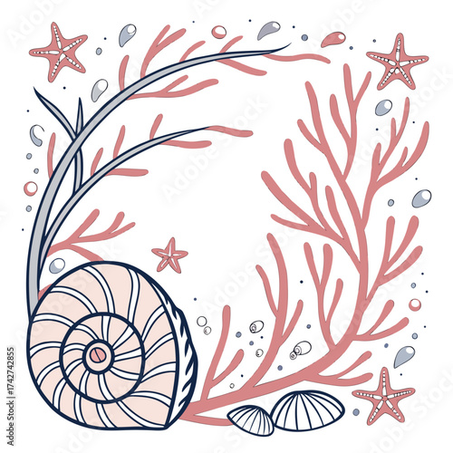 Seashells and corals create a marine frame