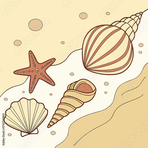 Illustration of seashells and a starfish on a sandy beach background