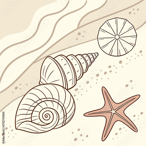 Illustration of seashells and starfish on a sandy beach with neutral tones