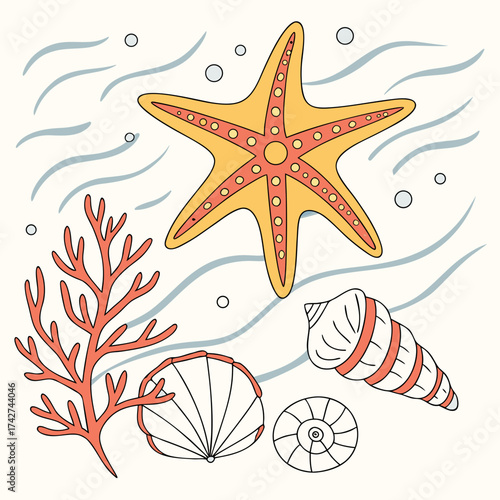 Illustration of a seabed with starfish, shells, and seaweed