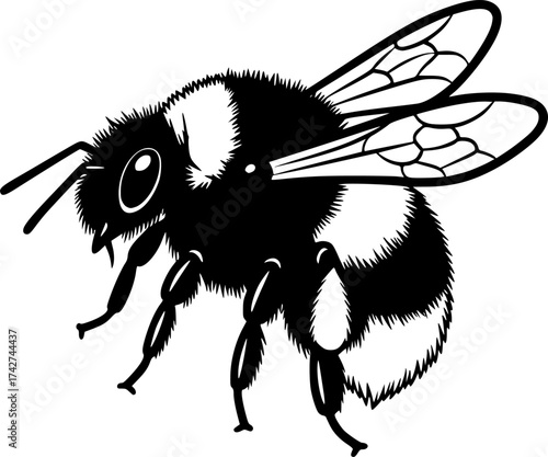 Line art vector of bumblebee with hairy texture and small wings, black outline, isolated on white