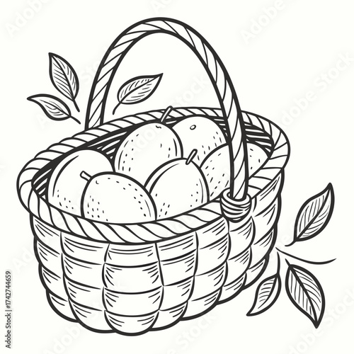 Handdrawn illustration of a basket full of plums