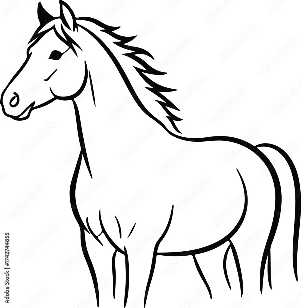 Fototapeta premium Illustrator Vector Horse simple outline drawing animal silhouette