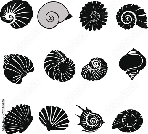 Marine Shell Silhouette Vector — Ocean Life Clipart Design