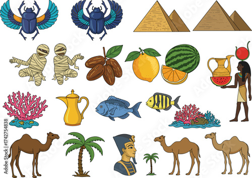 Ancient Egypt vector collection with pyramids, pharaoh, scarab beetle, mummy, camel, fruits, coral reef, fish and Egyptian culture illustration set