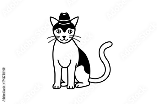 A domestic cat wearing a Hat