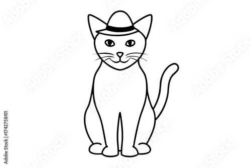 A domestic cat wearing a Hat