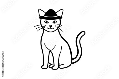 A domestic cat wearing a Hat
