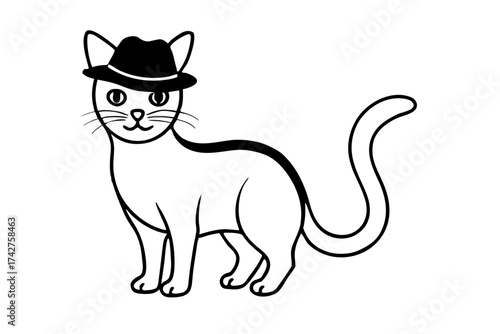 A domestic cat wearing a Hat