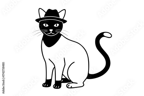A domestic cat wearing a Hat