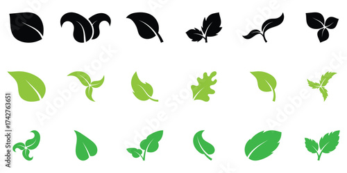 Leaf vector icons. Eco leaf icon set. Simple flat style leaves of trees and plants. Elements for eco friendly and bio, vegan. Black and green leaves collection. Ecology leaf element.