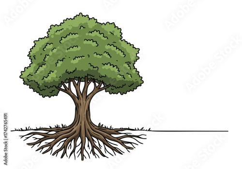 detailed illustration showcases a tree root system highlighting strength and stability The image features a robust root network anchoring a leafy tree Perfect for nature growth and resilience themes