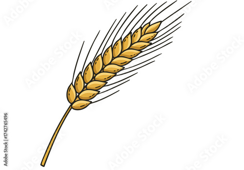 A detailed illustration of a barley grain head, showcasing its texture and form. Perfect for brewing, agriculture, or food-related designs. Clean, modern style.