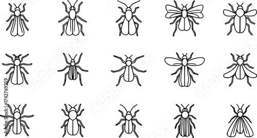 Simple line set of insect icons.
