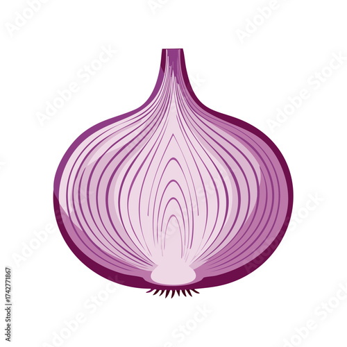 Vibrant Violet Onion Half Displays Symmetrical Structure and Tightly Packed Rings with Simple Styling