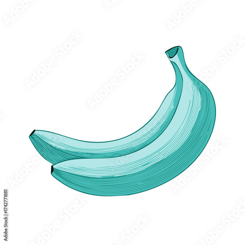 Two Teal Bananas with Line Drawing Detail
