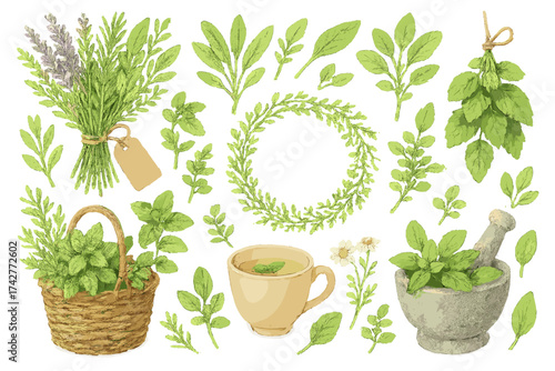 Herbal Tea and Medicinal Plants Set – Mint, Chamomile, Lavender, and Natural Remedies