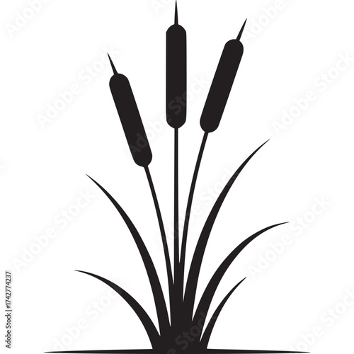 Tableau sur toile Vector art of cattail plant