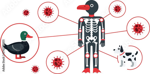 Avian flu virus spread vector illustration disease risk editable vector