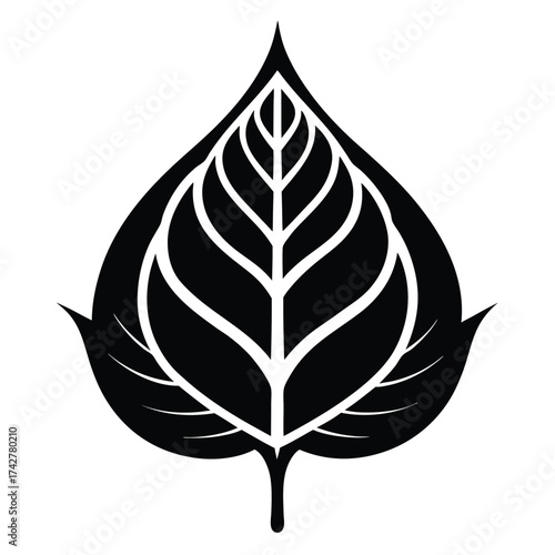 Black leaf with detailed venation features simple symmetry and strong appeal