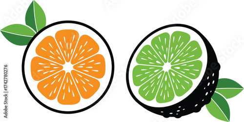 Orange lime citrus fruit slices healthy eating vector art editable vector