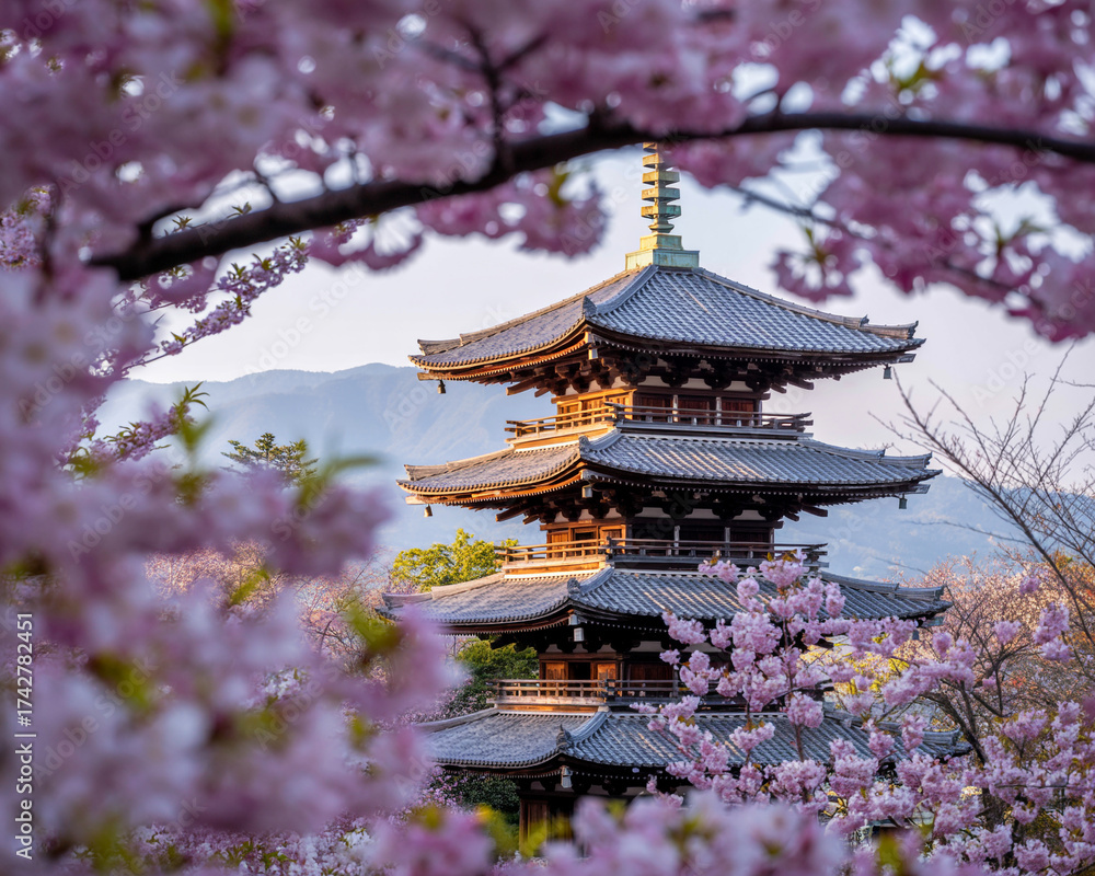 Fototapeta premium Japanese Pagoda Surrounded by Blooming Pink Cherry Blossoms