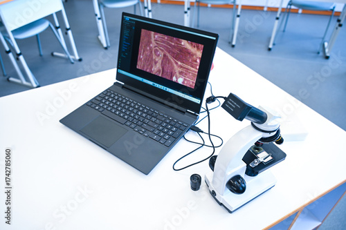 Connecting Microscopic Worlds to Digital Screens in the Lab