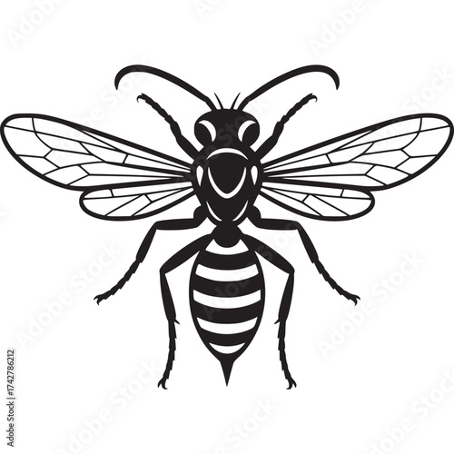 Schilderij op canvas Vector art of black and white wasp