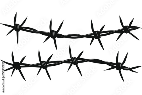 Two strands of sharp barbed wire are isolated on a white background