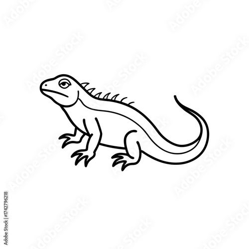 Simple outline drawing of an iguana on transparent background