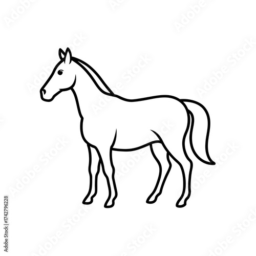 Outline drawing of a horse animal on transparent background