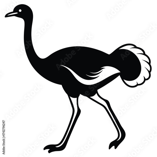 running ostrich vector icon on white background