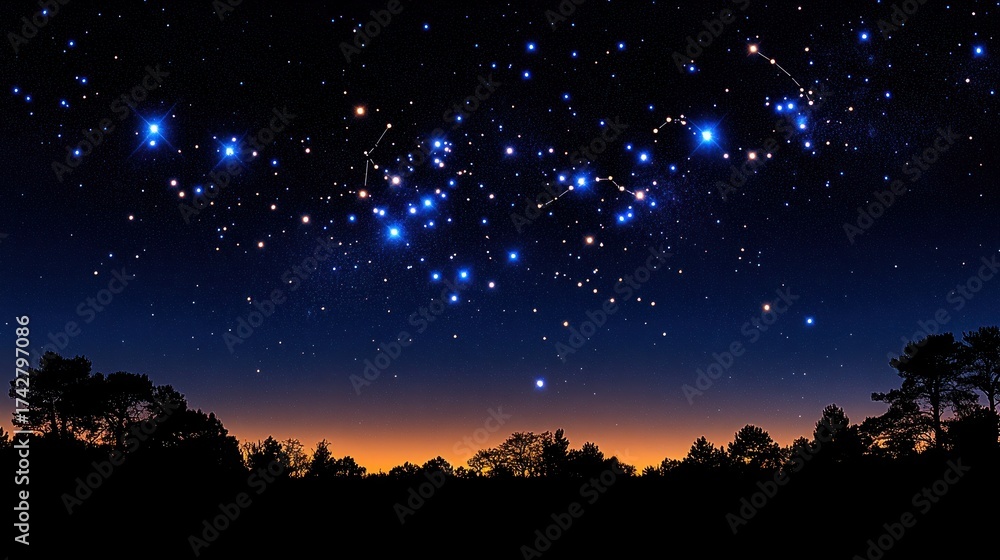 Naklejka premium Night sky with constellations over silhouettes of trees