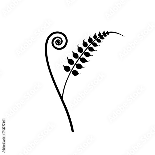 Illustration of a fern frond with spiral silhouette
