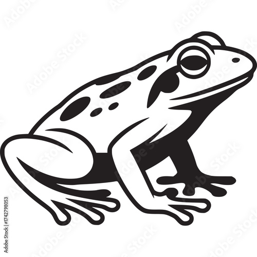 Photos Vector art of black and white frog