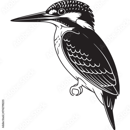 Vector art of kingfisher bird