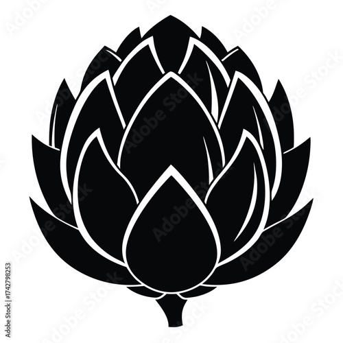 Monochrome hop flower shows symmetry and botanical precision in a floral minimalist style