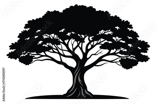 Silhouette displays a magnificent tree showcasing a broad canopy and detailed branch structure