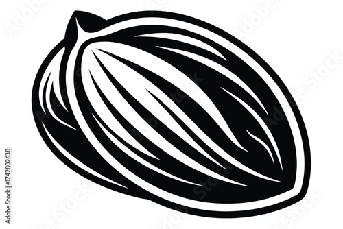 Striking black ovalshaped seed exhibits a distinctive linear pattern on a clean white background