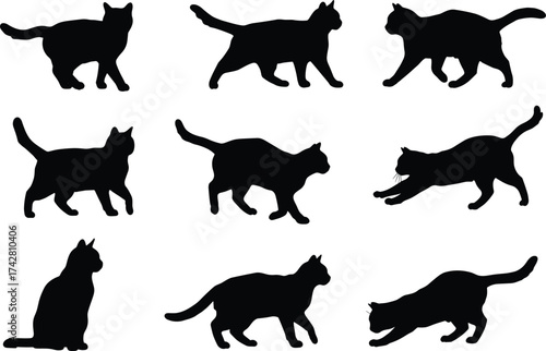 Cat silhouette vector, walking cat illustration, sitting feline artwork, stretching pet design, black cat posture, domestic animal shape, playful cat graphic art
