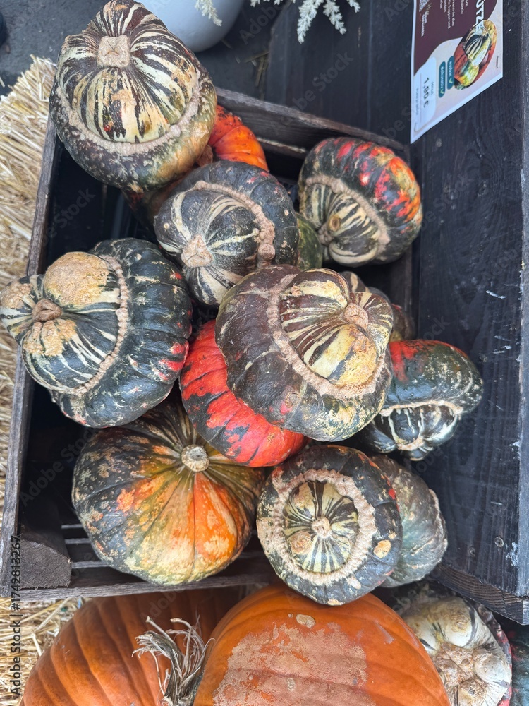 Fototapeta premium Colorful turban squash piled in wooden crates among hay bales at a rustic market, showcasing unique shapes and vibrant red, green, and orange tones of autumn produce.