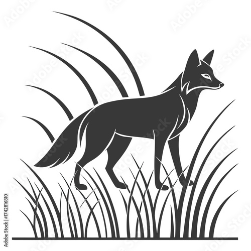 Gray silhouette of a solitary wolf standing amidst tall grass against white backdrop
