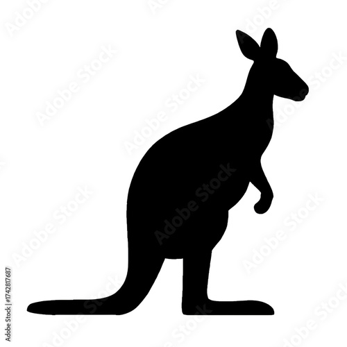 kangaroo vector illustration