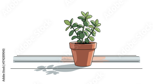 Houseplant in terracotta pot brings fresh style to any space with natural light and beauty