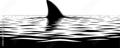 shark fin in water, vector illustration