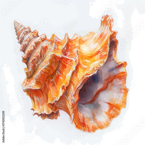 Seashell, watercolor illustration vector, isolated on a white background.