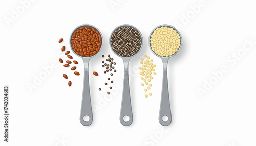 Flat lay of spoons with healthy seeds. Flax, black mustard, and quinoa assortment. Superfood ingredients vector illustration
