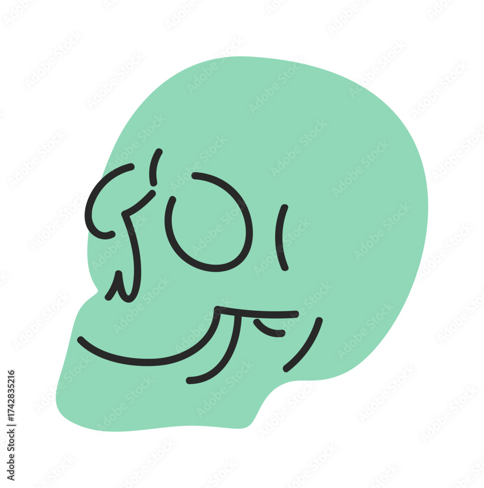 Obraz premium Plaster human skull model artwork