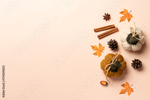 Autumn flat lay background with pumpkins and leaves.